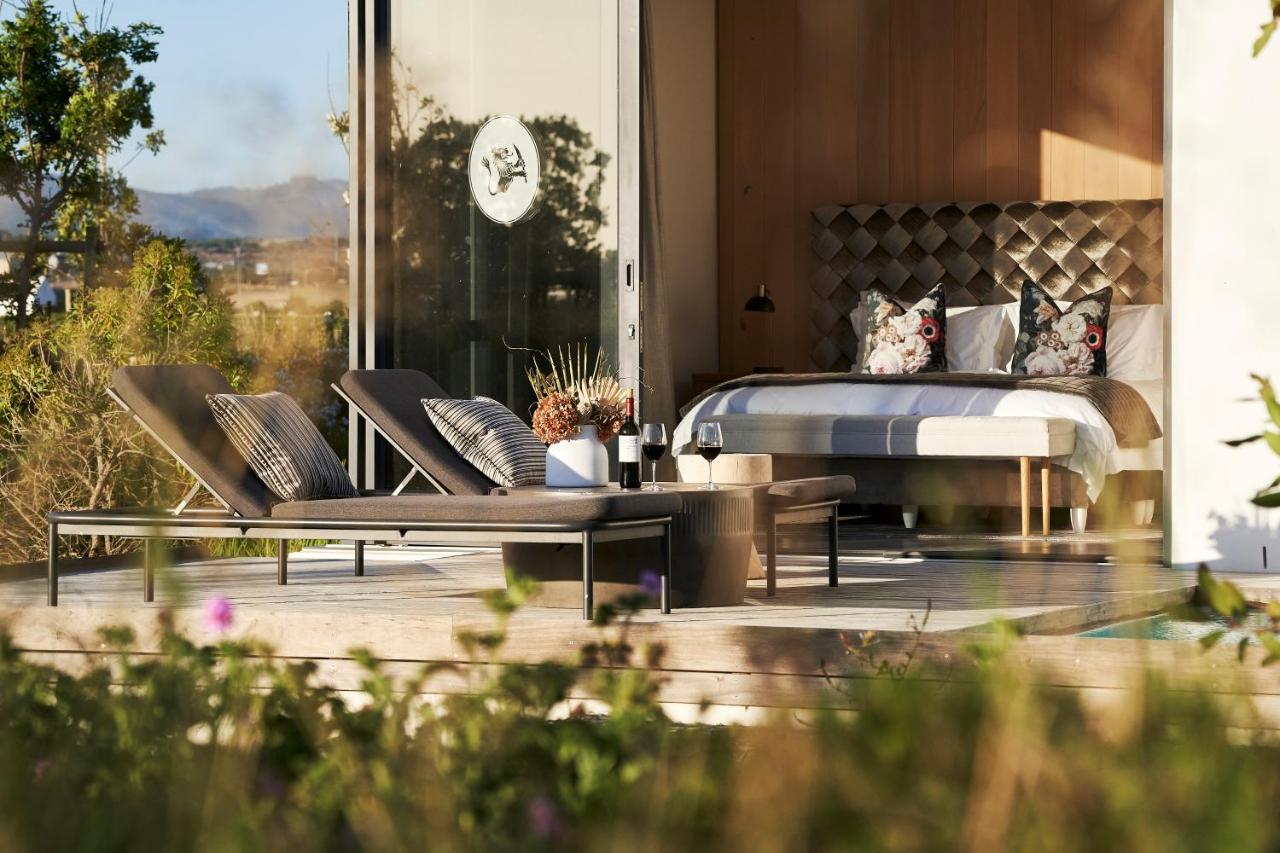 Vergenoegd Loew Boutique Hotel & Spa Kapstaden Exteriör bild